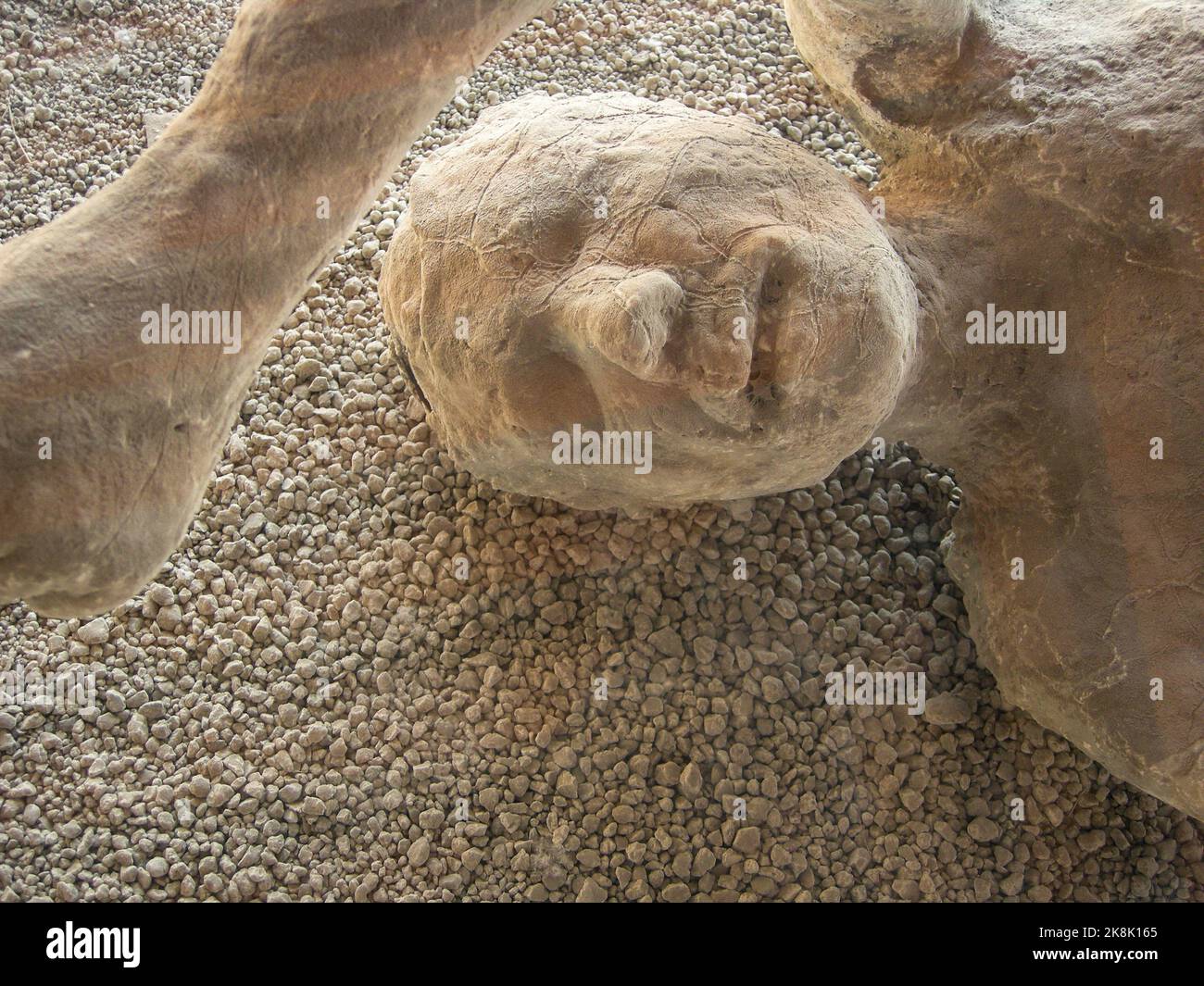 The Preserved bodies at the historical city of Pompeii Naples, Italy