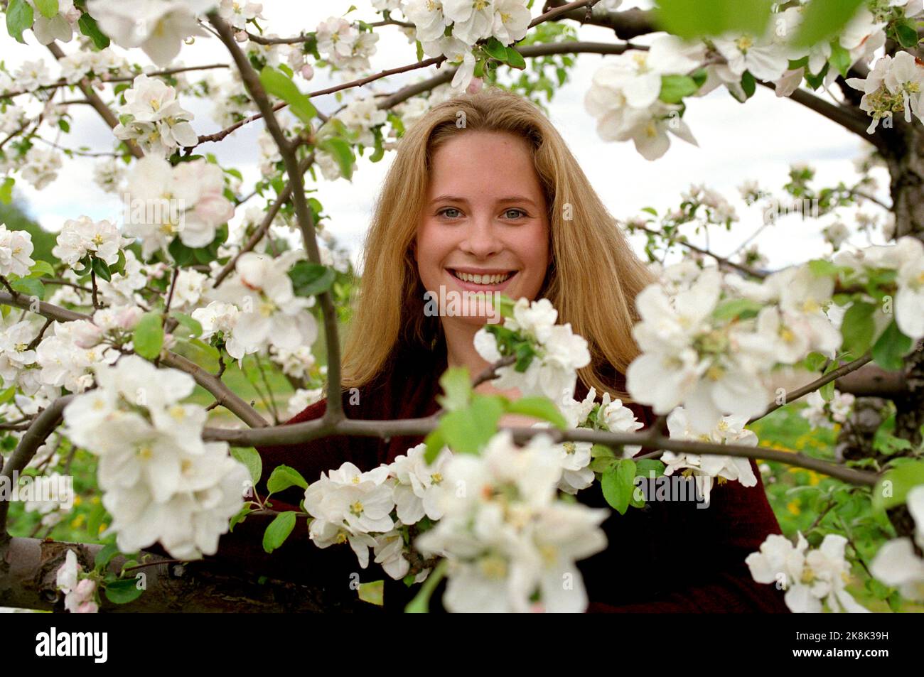 Lier 19910527: Actor Maria Bonnevie during the filming 'Kvitebjørn Kong Valemon' among flowering apple trees in Lier. Photo: Bjørn Sigurdsøn NTB / NTB Stock Photo
