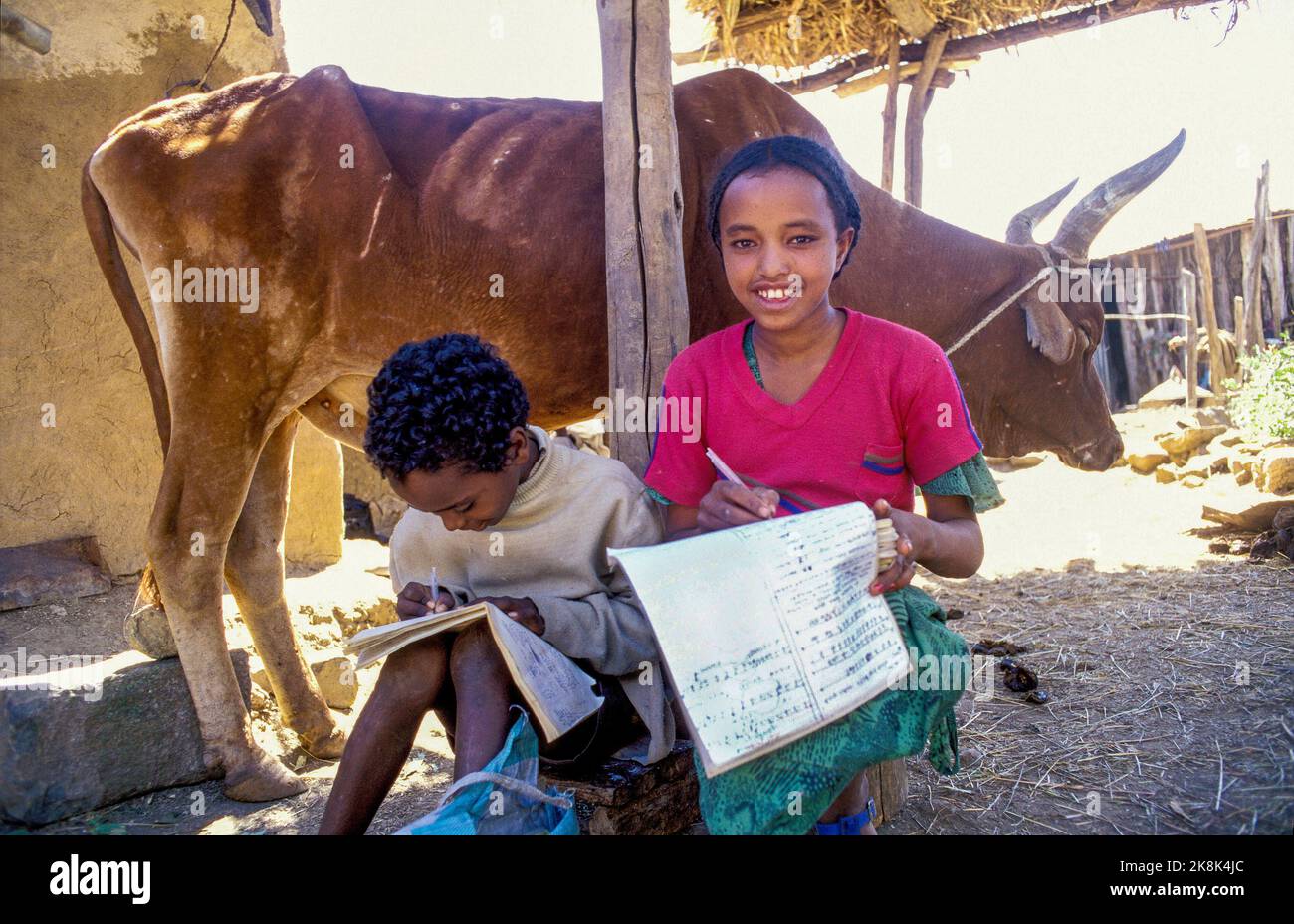 Ethiopia, Tigray; doing homework Stock Photo