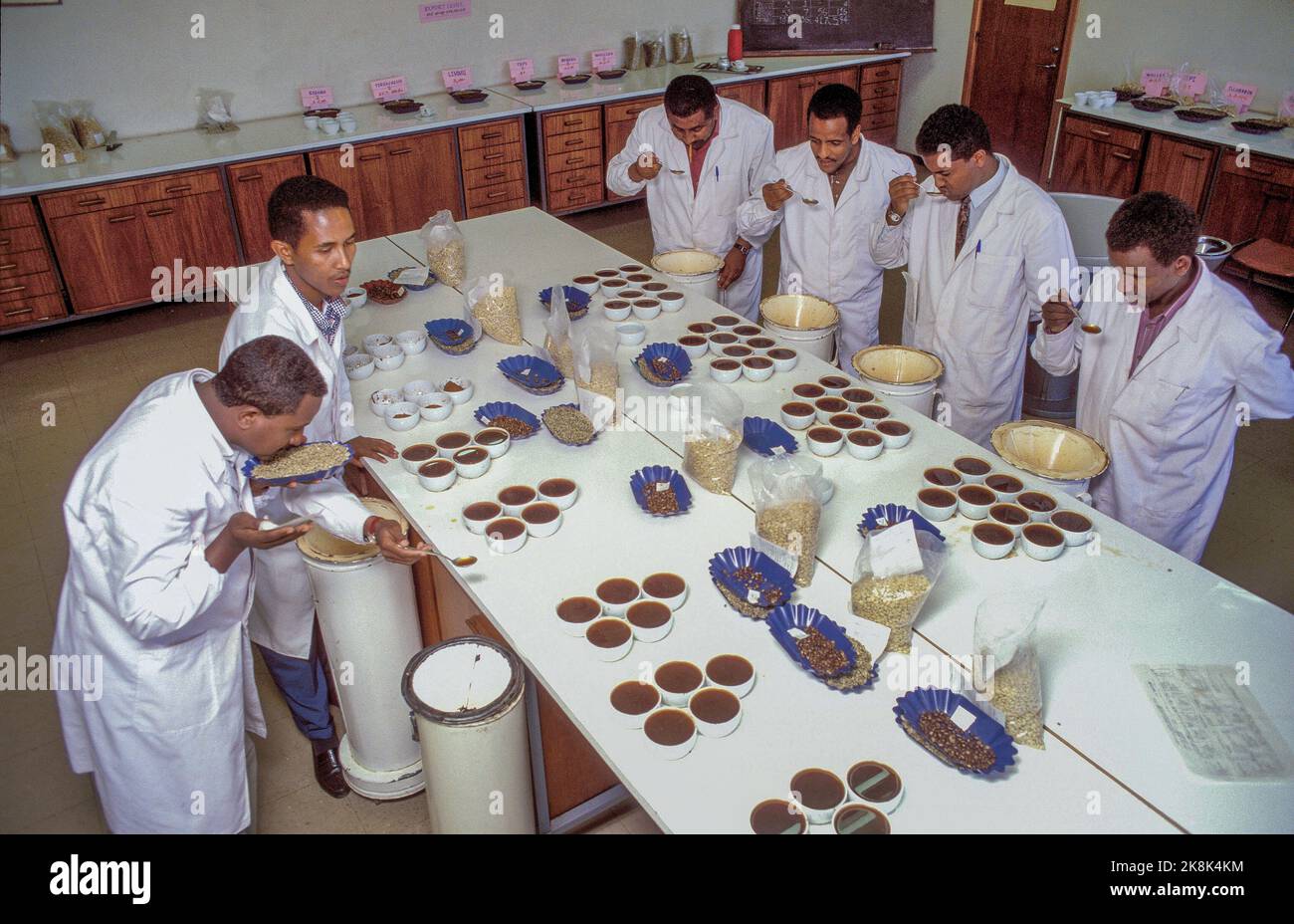Ethiopia, Addis Abeba; Tasting team is testing the taste of different coffee beans. Stock Photo