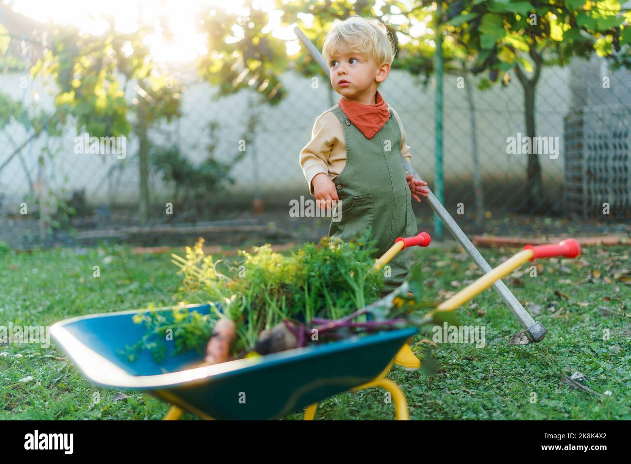 Little boy with wheelbarrow posing in garden during autumn day Stock ...