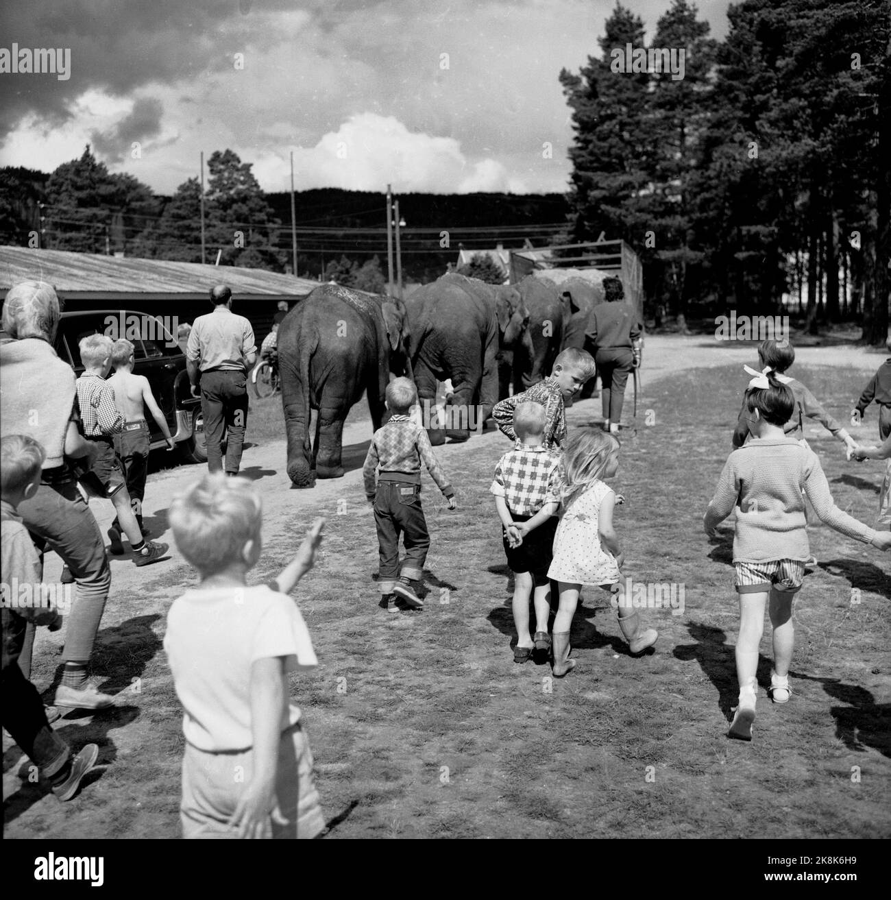 Sørlandet, sommeren 1962. Da elefantene kom til Evje: fire døgns slit for åtte minutters opptreden. Sirkus Arnardo er på turne på Sørlandet med fem to-tonns elefanter. Det byr på problemer. De sto i jernbanevogner i ett døgn på Marnardal stasjon fordi det ikke fantes biler som kunne ta dem videre. Dagen etter reiste de videre til Grovane stasjon hvor de skulle lastes om til den smalsporede Setesdalsbanen til Evje. Det var mislykket, og først etter fire døgn kom elefantene til Evje pr trailere, der forestillingen allerede var i gang.   Her elefantene under ett av omlastingsforsøkene, mens lokal Stock Photo