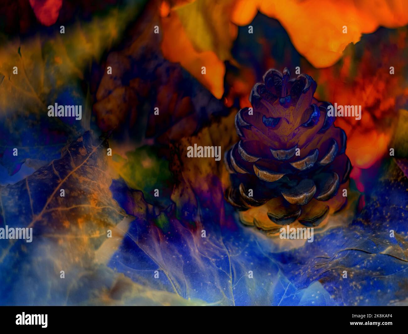 CONCEPT AUTUMN : AUTUMN DECORATION Stock Photo