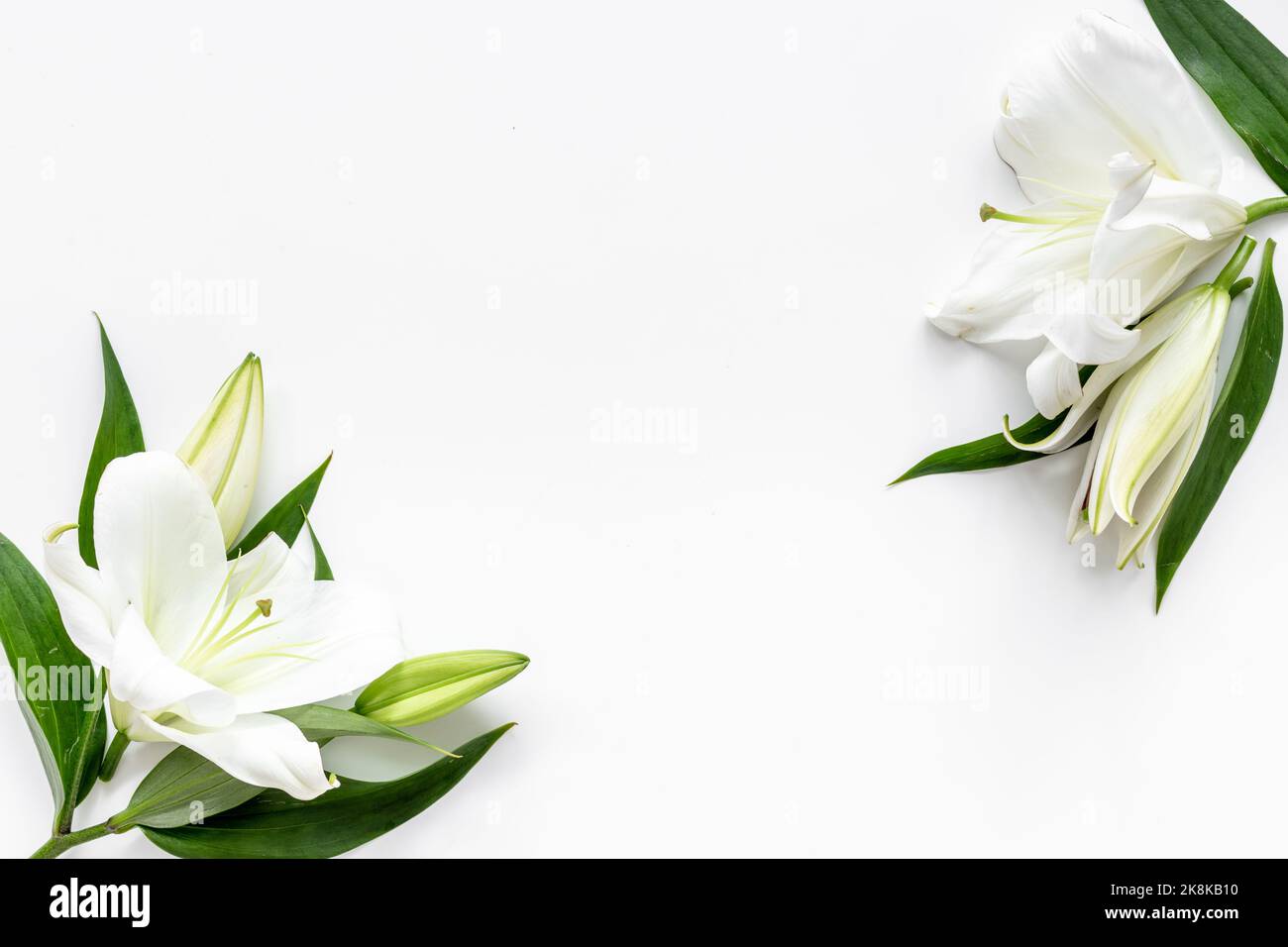 Flowers for sale mourning
