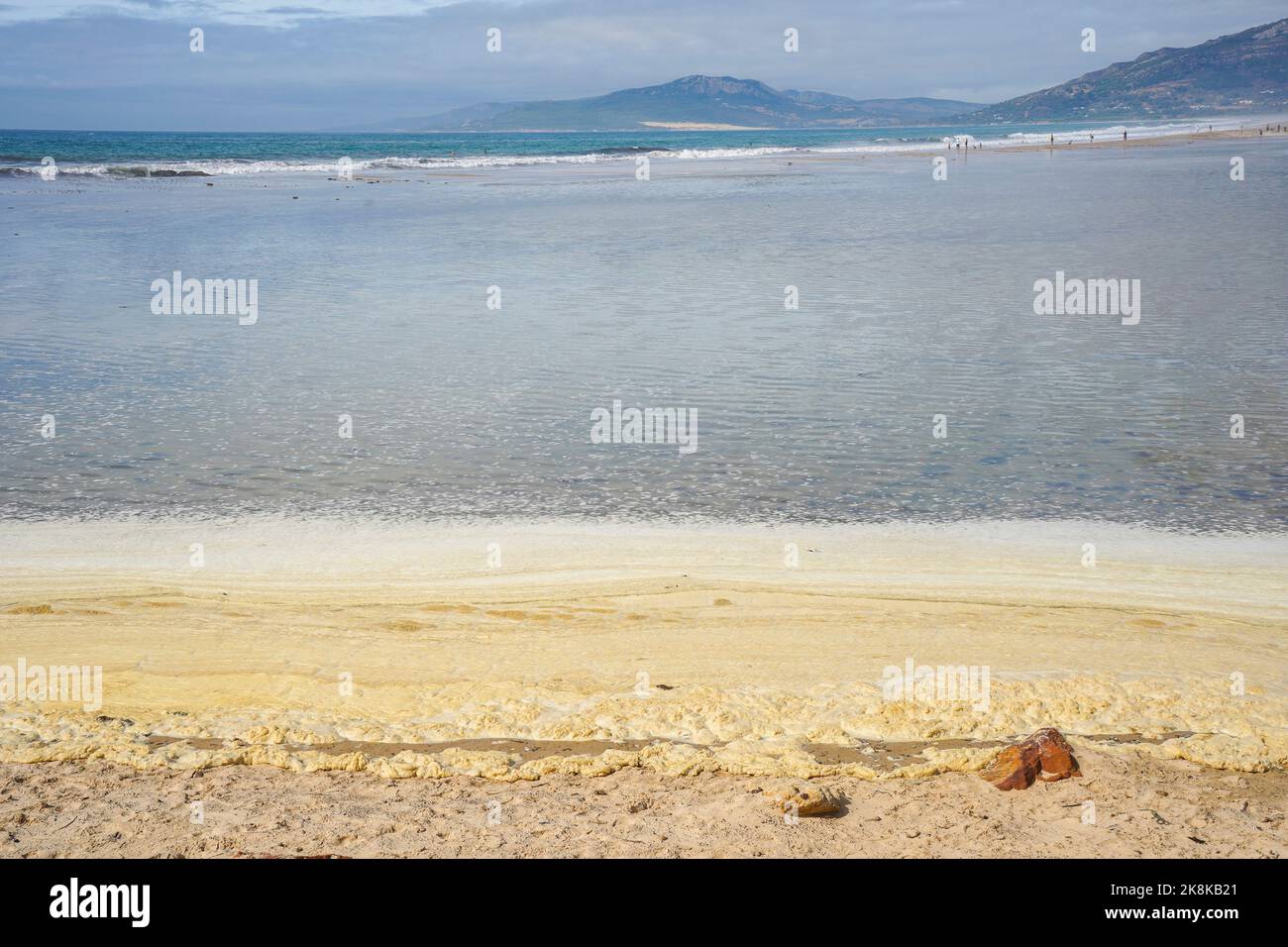 Sea foam washed up or blown onto a beach due to spillage of petroleum, pollution at Tarifa Beach, Andalucia, Spain. Stock Photo