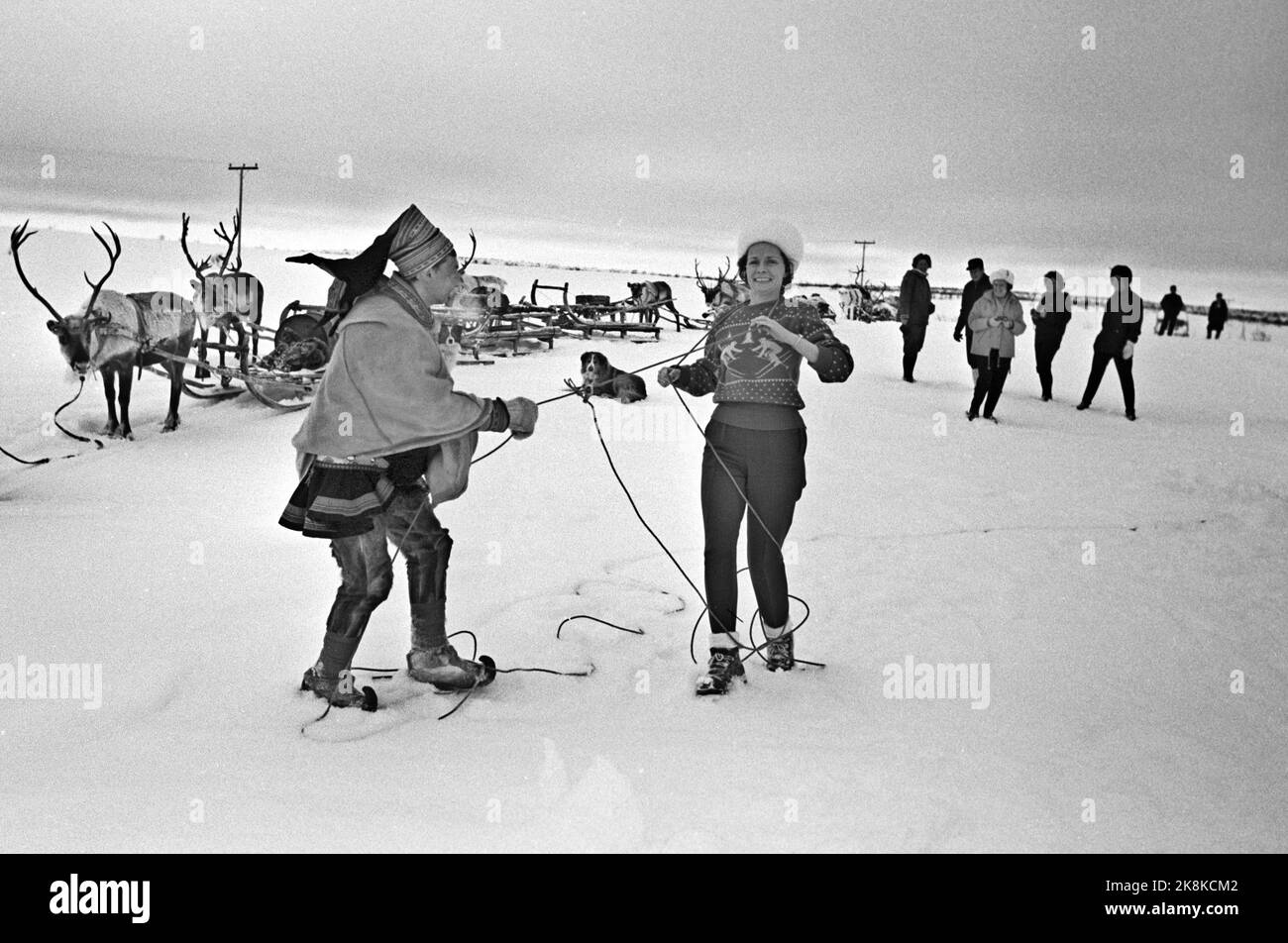 Finnmark 19650410 Caught by Finnmarksvidda -One of this year's travel news is winter trips to Finnmarksvidda. Also without the midnight sun, the region has a lot to offer the tourists: Meeting with Sami and reindeer, magnificent skiing and beautiful scenery. It is Bennett Reiseburå that arranges the trips north. The tickets at a price of NOK. 1295,- for 9 days trip, all incuded, was torn away. Here: The same has 'caught' a female tourist with Lasso. Reindeer in the background. Photo: Aage Storløkken / Current / NTB Stock Photo