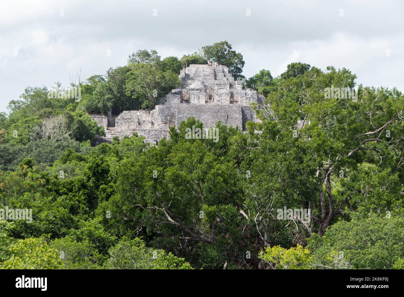 View of Calakmul, a Maya archaeological site deep in the jungles of the Mexican state of Campeche. Structure 2 (or Structure II) seen from Structure 1 Stock Photo