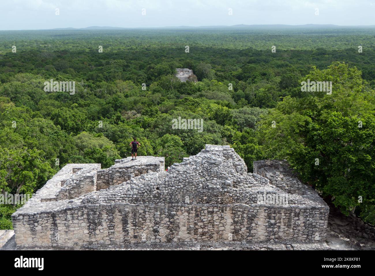 Man at Calakmul, a Maya archaeological site deep in the rainforest of the Mexican state of Campeche. View from the pyramid known as Structure 2 Stock Photo
