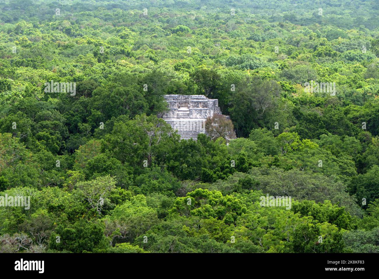 View of Calakmul, a Maya archeological site in the jungles of the Mexican state of Campeche. Structure 1 (or Structure I) seen from Structure 2 Stock Photo