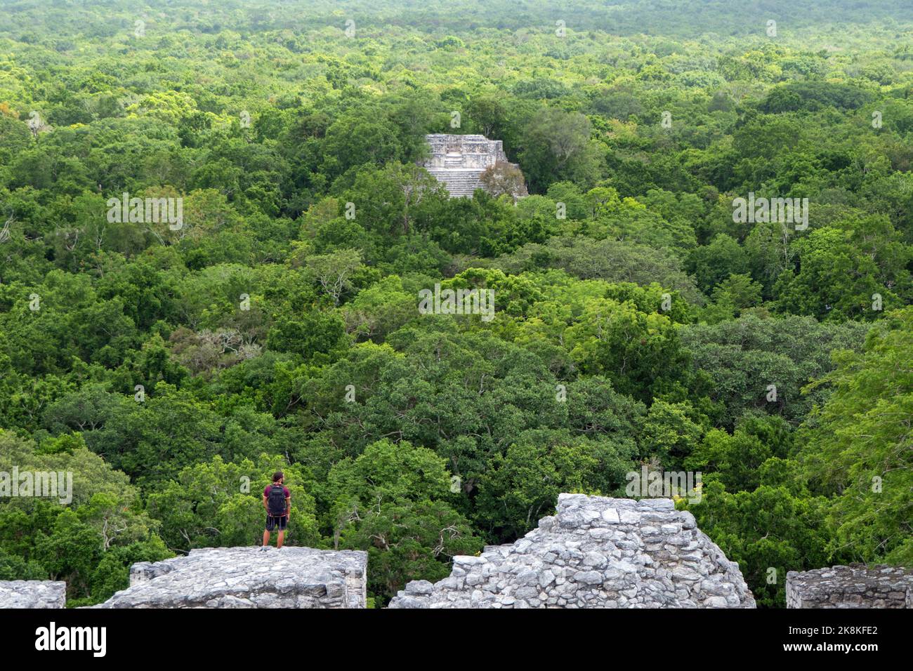 Tourist at Calakmul, a Maya archaeological site deep in the rain forest of the Mexican state of Campeche. View from the pyramid known as Structure 2 Stock Photo