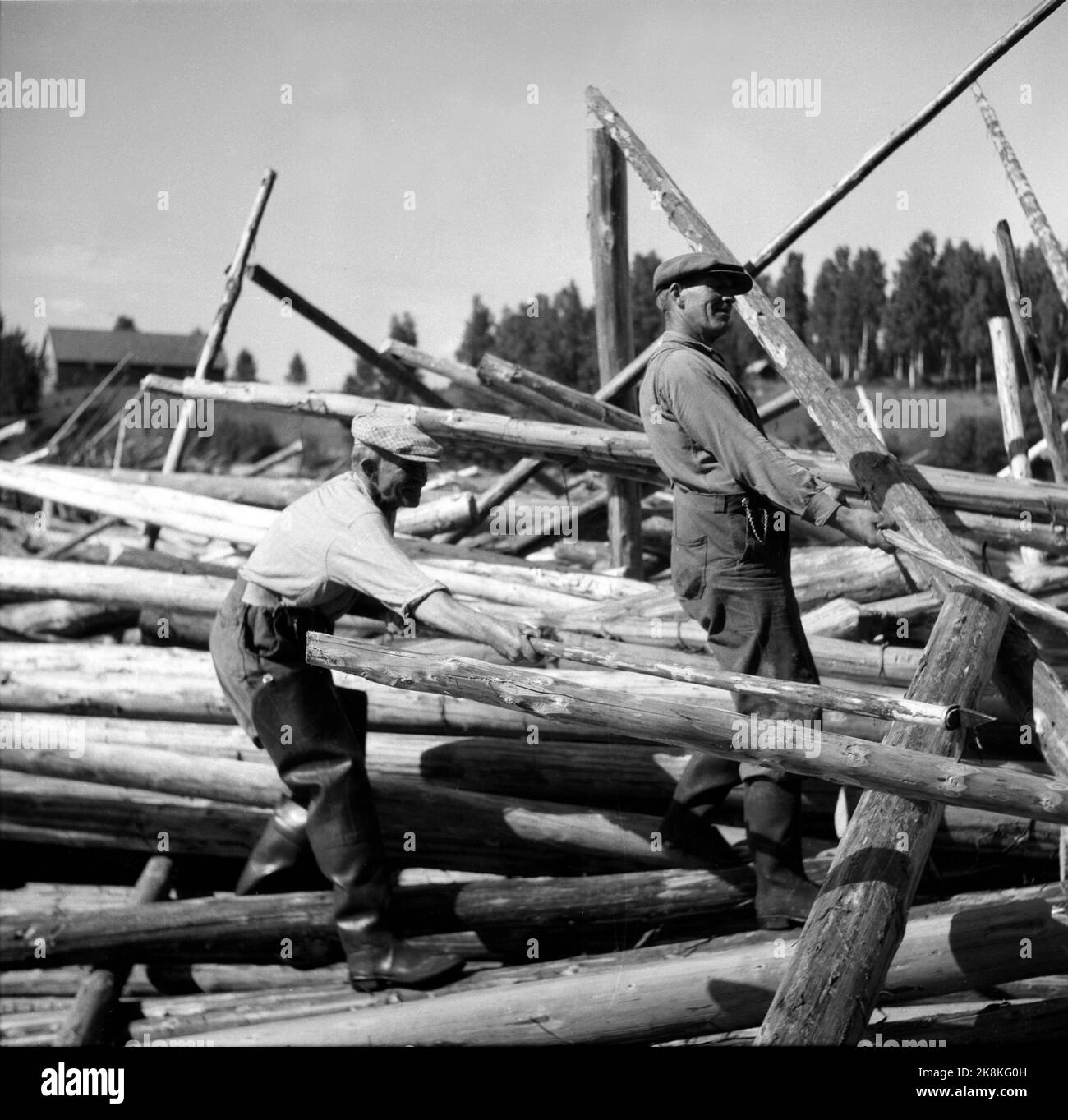 Glomma at Kongsvinger in the summer of 1947: The driest and warmest summer in man's memory has disastrous consequences for i.a. CLEANS AND TIME FLOTING: The timber floats in Glomma despair because there is hardly water to flow the timber in. Here a flock of them in work with a vase. Photo: Current / NTB Stock Photo