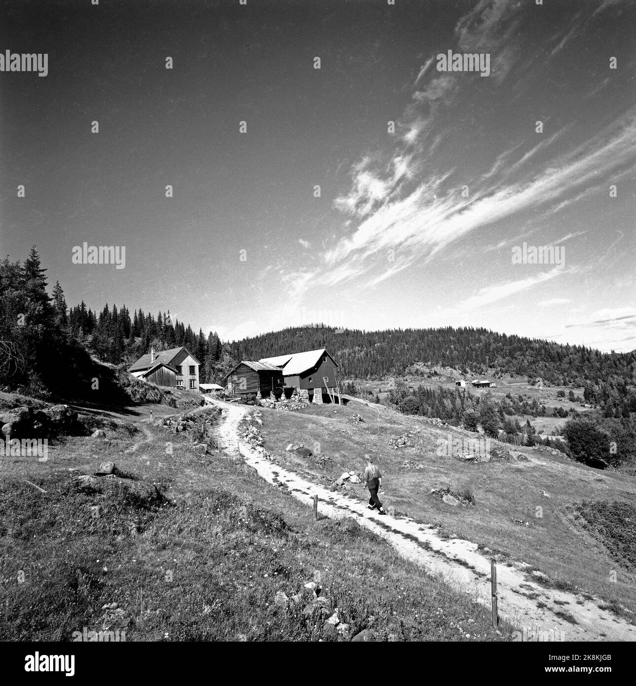 Flatdal In Telemark August 1959 Fjellg rden Ekre Is 600 Meters Above flatdal-in-telemark-august-1959-fjellg-rden-ekre-is-600-meters-above