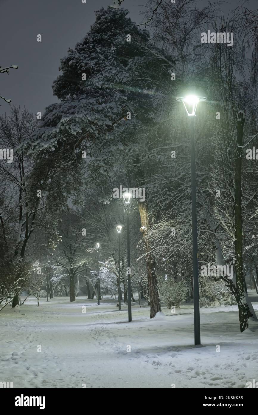 View of bench against christmas tree and shining lantern through snowing. Night shot. Stock Photo