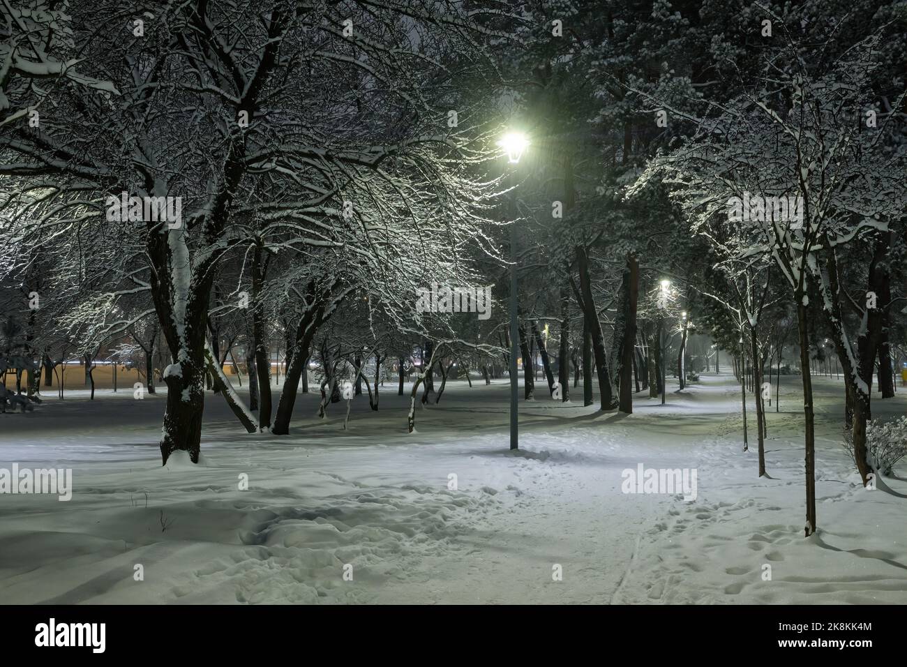 View of bench against christmas tree and shining lantern through snowing. Night shot. Stock Photo