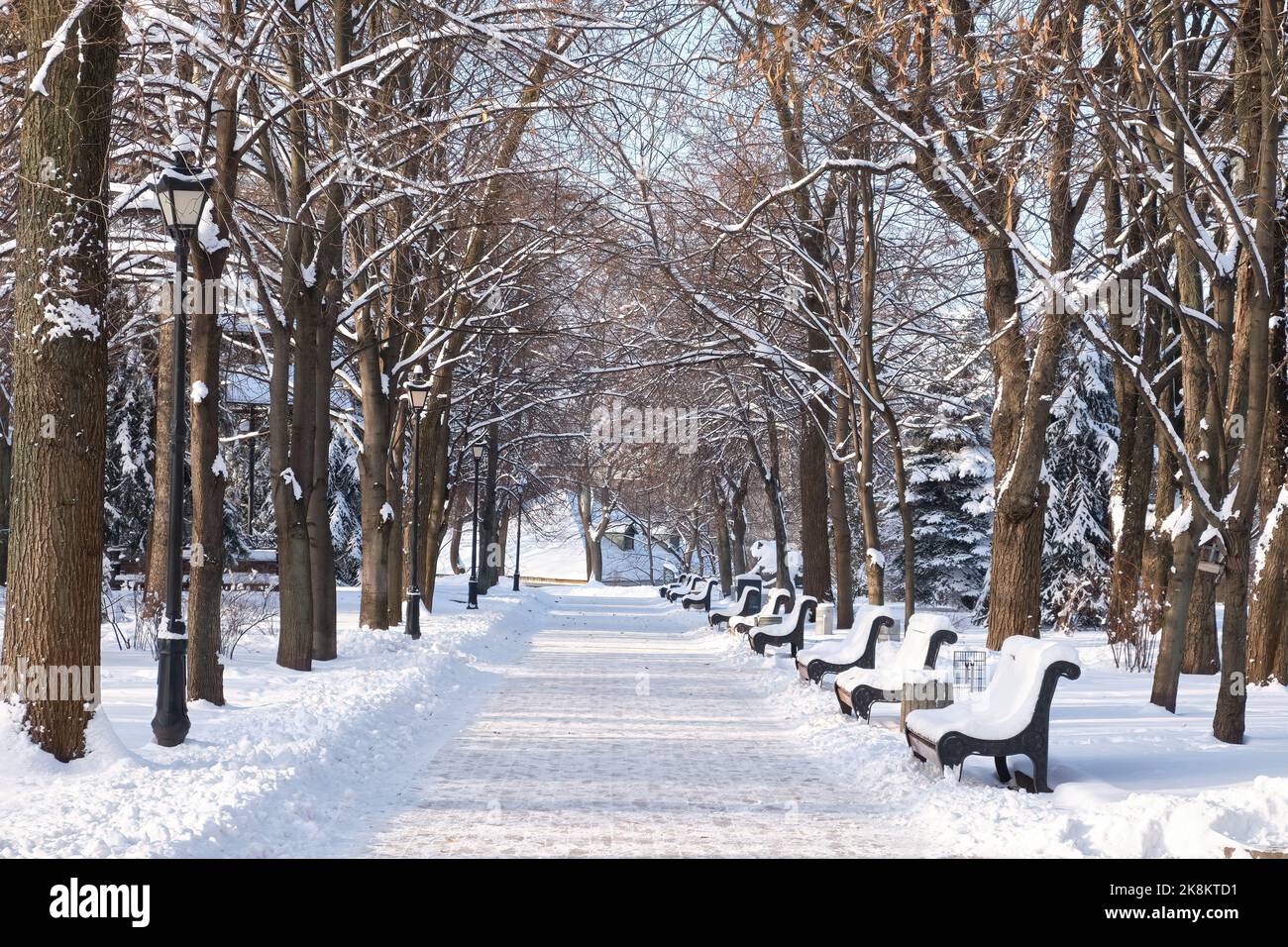 bench in the park in the snow in winter Stock Photo - Alamy
