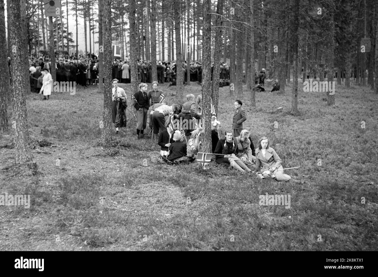 The children of the forest Black and White Stock Photos &amp; Images 