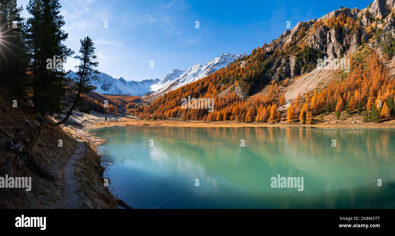 Orceyrette Lake in Autumn with golden larch trees in the French Alps. Briancon Region. Hautes-Alpes. France Stock Photo