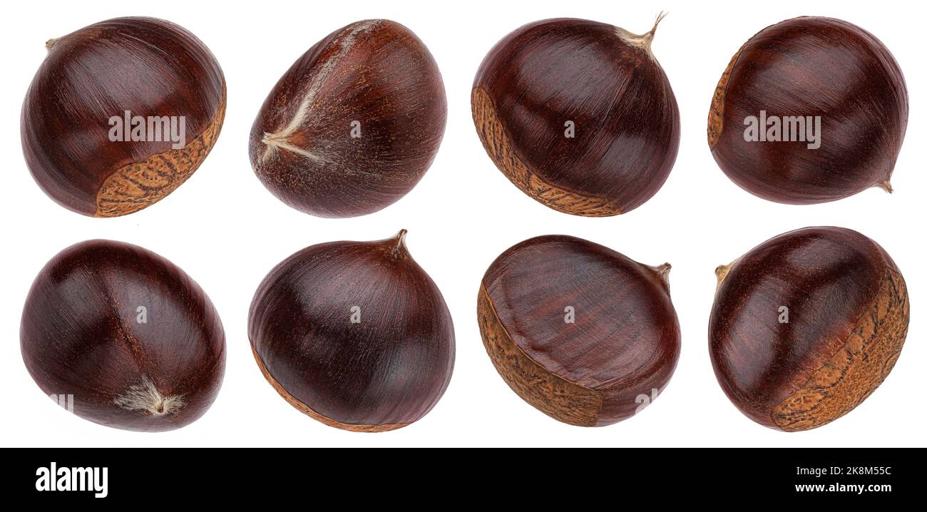 Chestnuts isolated on white background Stock Photo