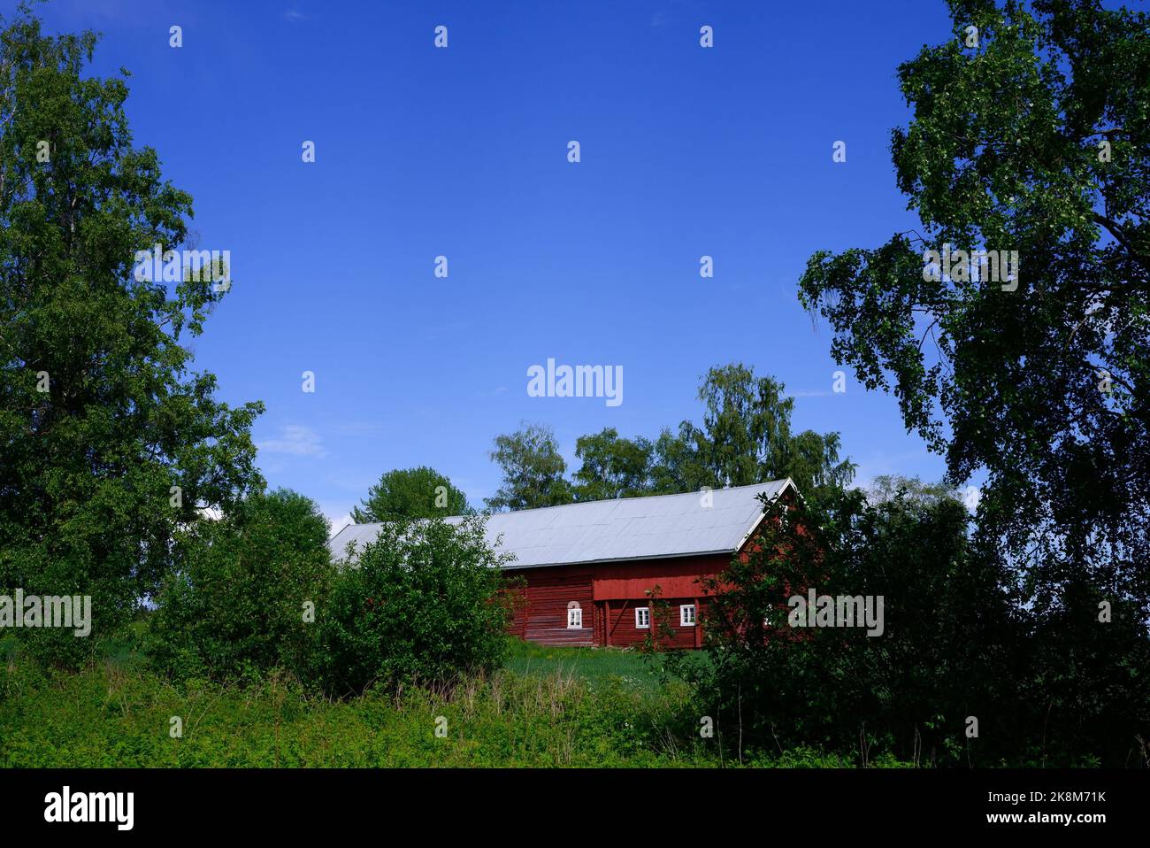 Red barn surrounded by green. Stock Photo