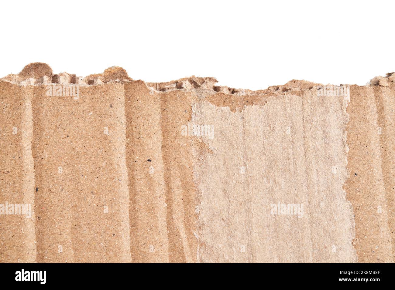 One ripped piece of cardboard material over isolated white background ...