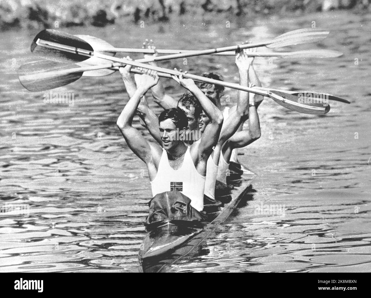 goldfirern-hi-res-stock-photography-and-images-alamy