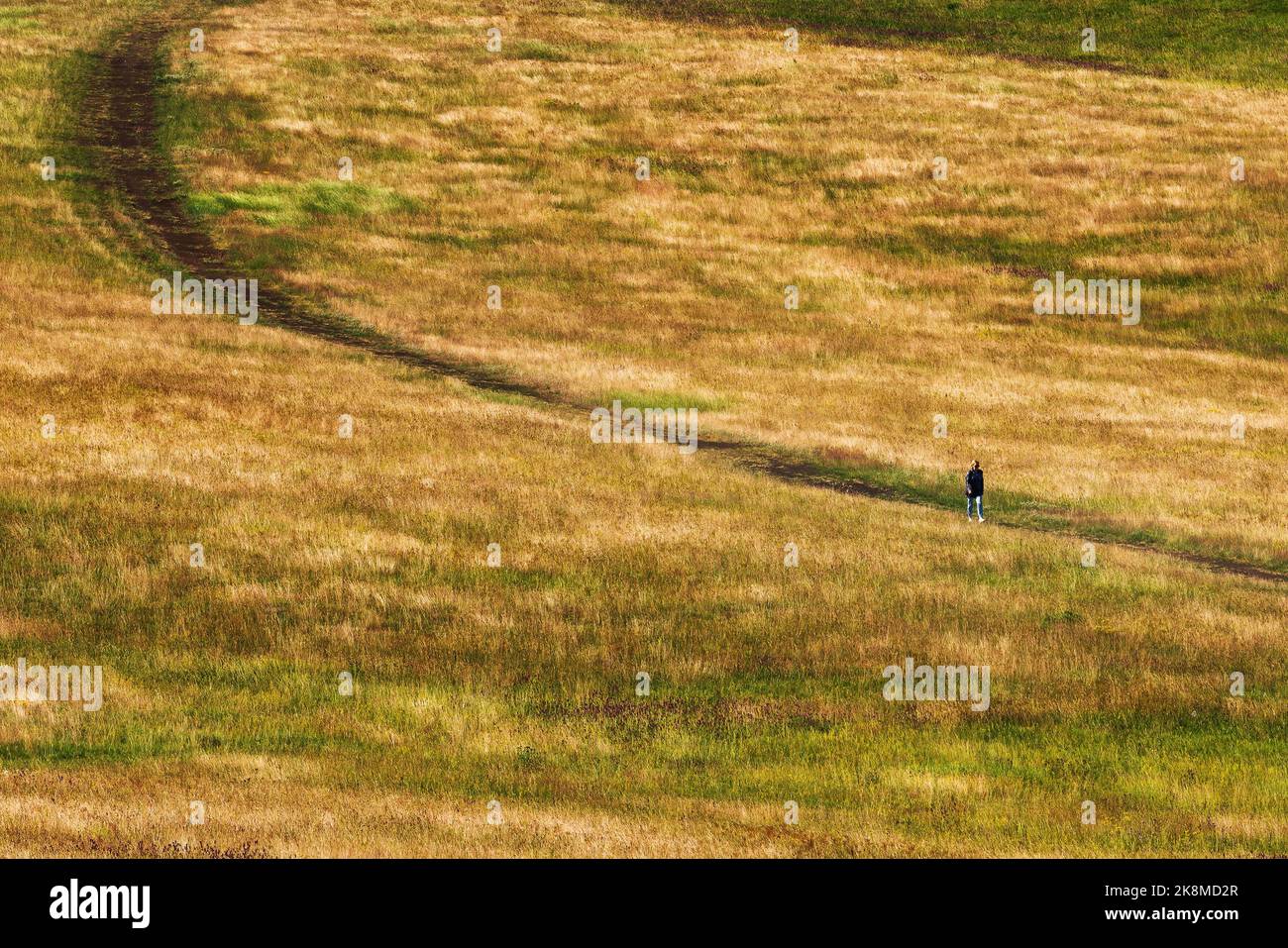 Zlatibor hiking outdoor activity, unrecognizable casual woman walking through grass hill landscape on sunny summer day at this Serbian tourist resort Stock Photo