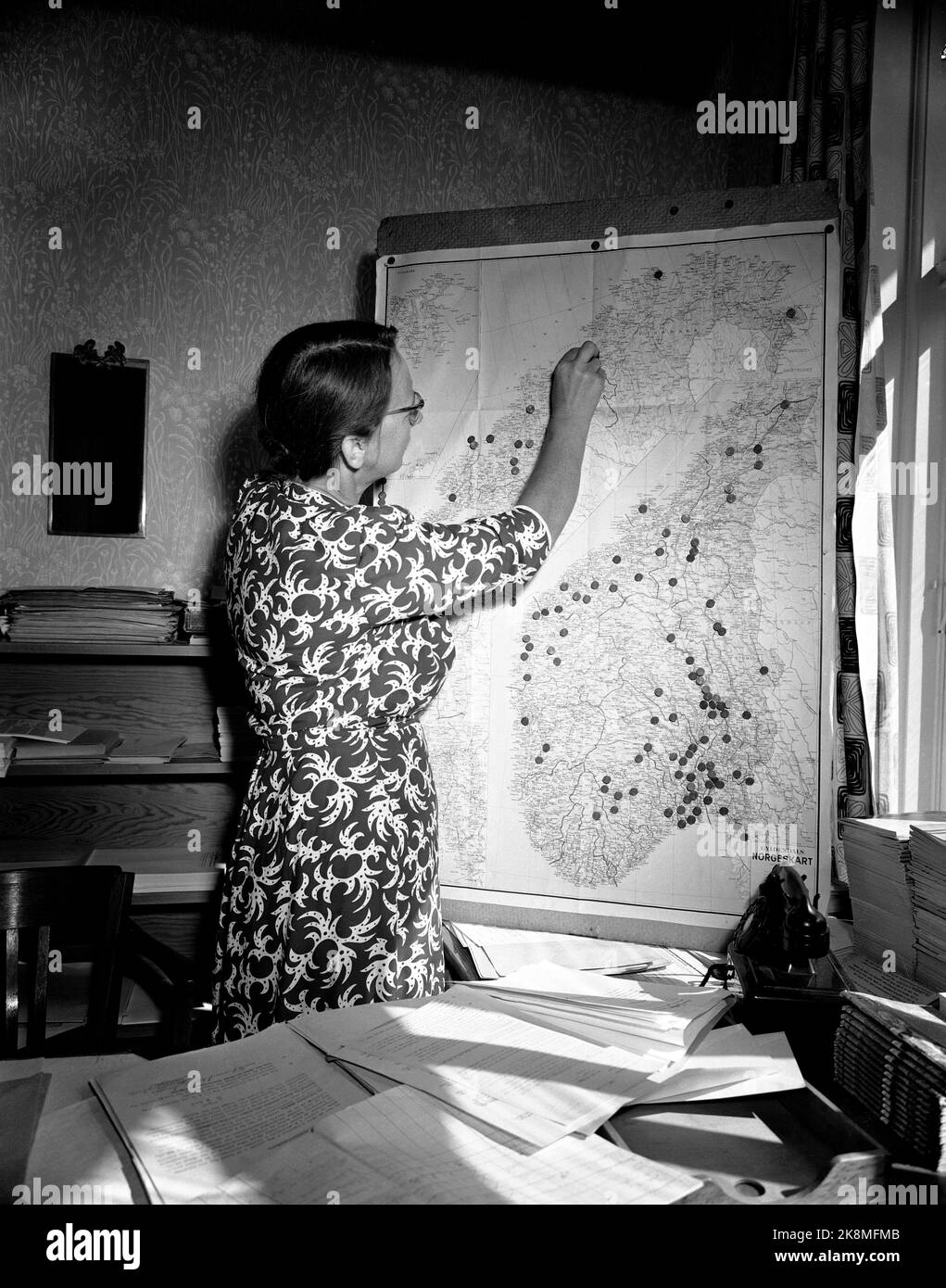 Current ntb information technology it women map working hires stock