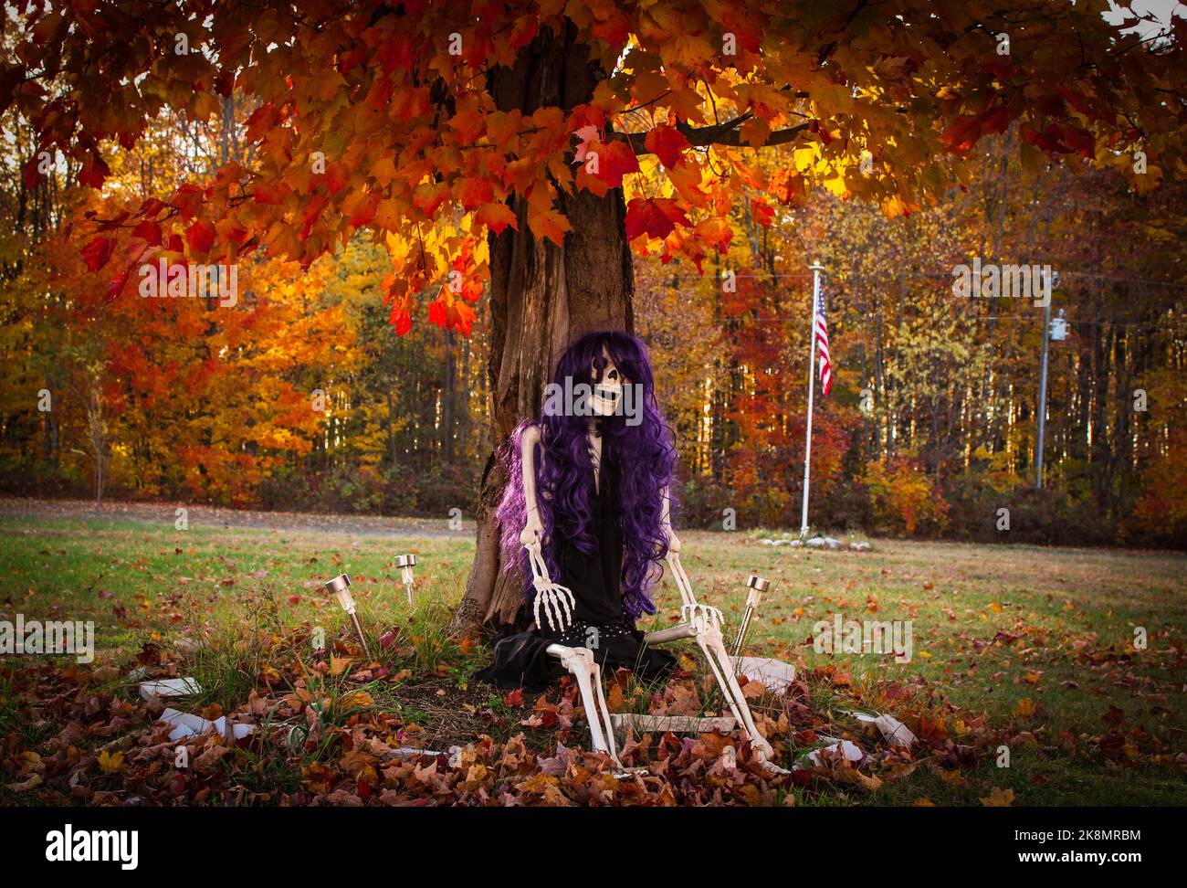 Skeleton with purple wig sitting under a tree during autumn Stock Photo ...