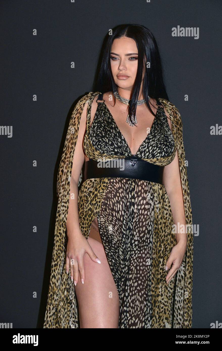 Adriana Lima (dress by Roberto Cavalli) Photocall of the Kering 'Women in Motion Award' evening, Place de la Castre, colline du Suquet 75th Cannes Film Festival May 22, 2022 Stock Photo