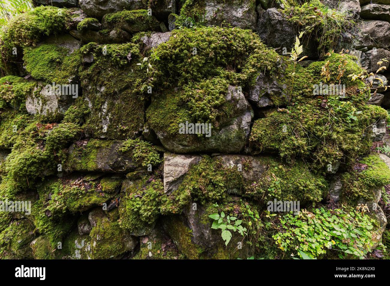 Stone wall foundation of old water-mill by Olterudelva River, Toten, Norway. Stock Photo