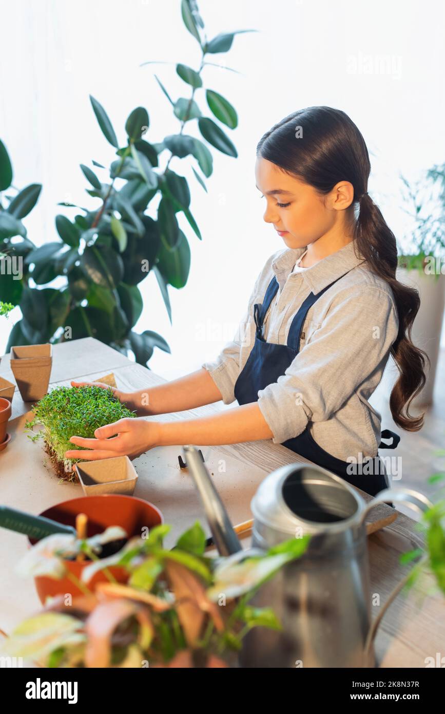 Preteen girl gardening hi-res stock photography and images - Alamy
