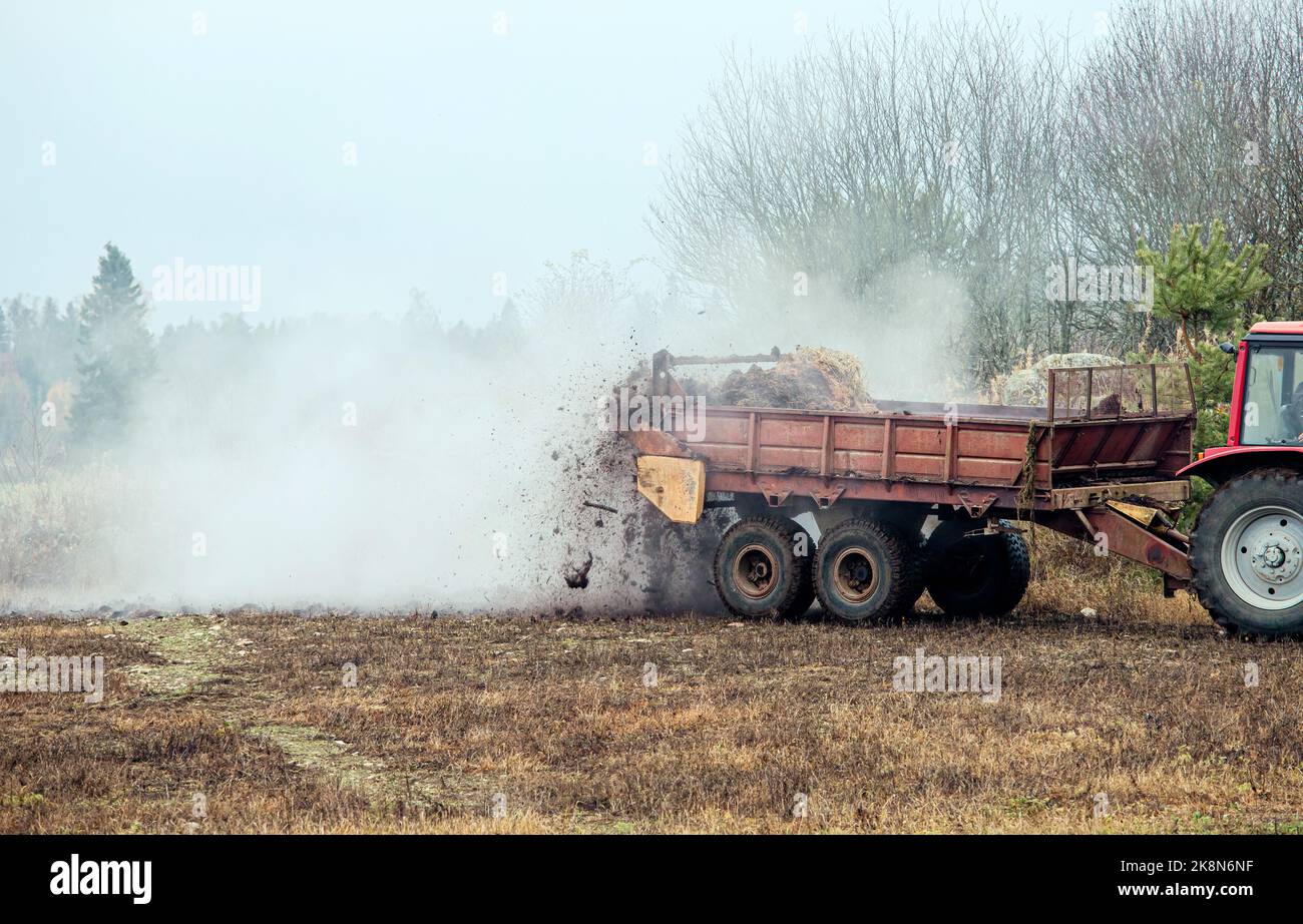 Tractor use manure much spreader trailer to scatter hot steaming horse manure on agriculture field in autumn for natural fertilizer. Stock Photo