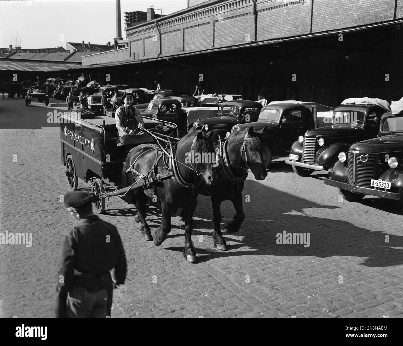 Oslo 1951. Breweries in Oslo in 1951. Here is a horse cart that is going to deliver beer. Photo: Sverre A. Børretzen / Current / NTB  Breweries in Oslo in 1951. Horse Drawn Carriage on a Delivery Round. Photo: Sverre A. Børretzen/ Current/ NTB Stock Photo
