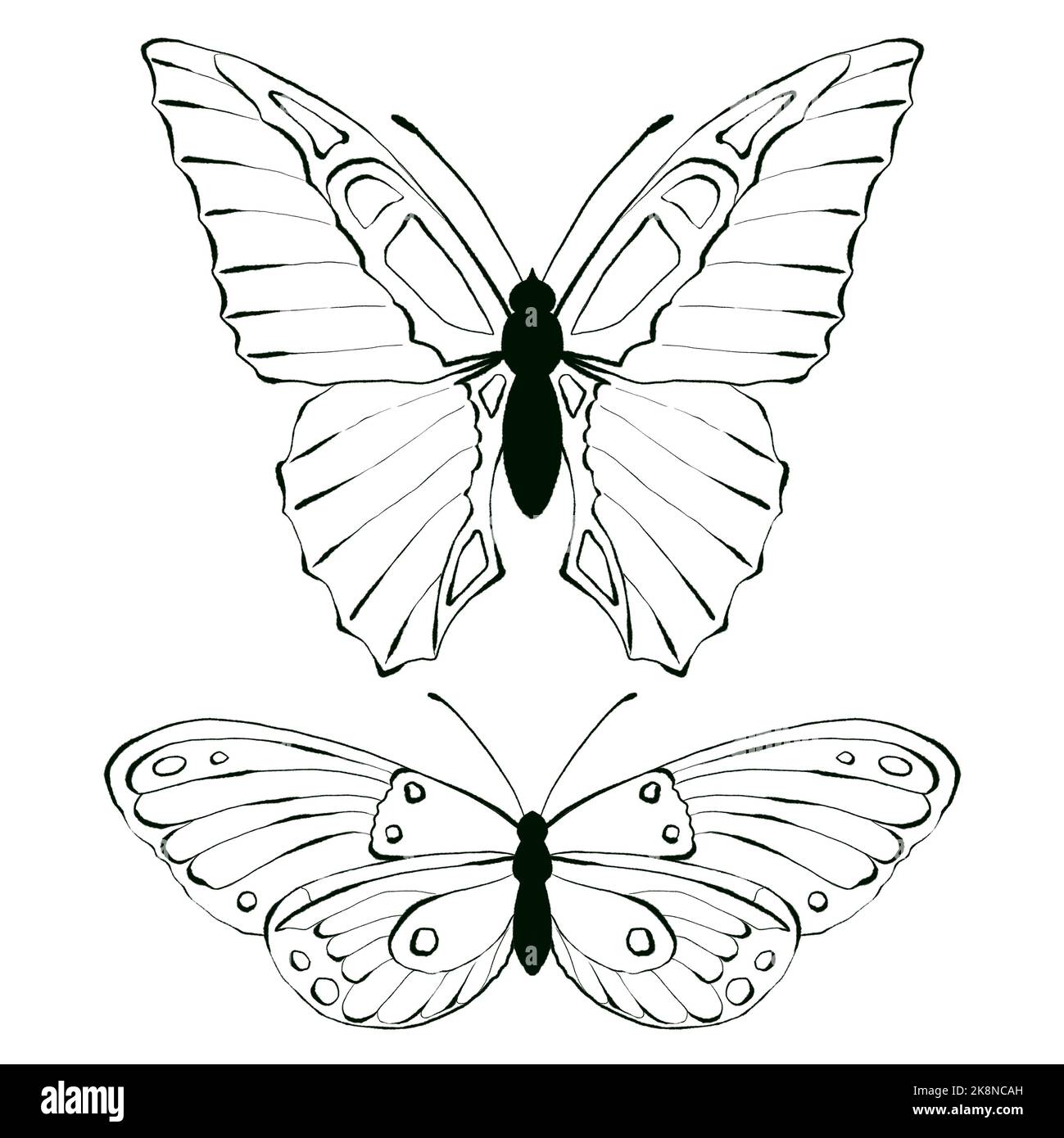 Set of Butterfly, black and white illustration, isolated Stock Photo