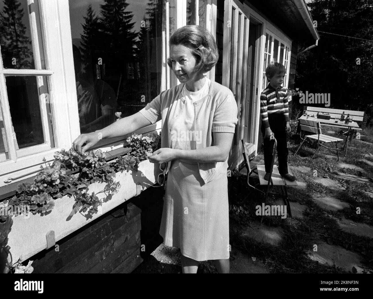 Vangsåsen at Hamar in the summer of 1967. West German Foreign Minister Willy Brandt has bought a cabin in Vangsåsen at Hamar. Here Mrs. Ruth Brandt who puts the flowers in the flower boxes at the cabin. In the background, the youngest son Mathias. Photo: Storløkken / Current / NTB Stock Photo