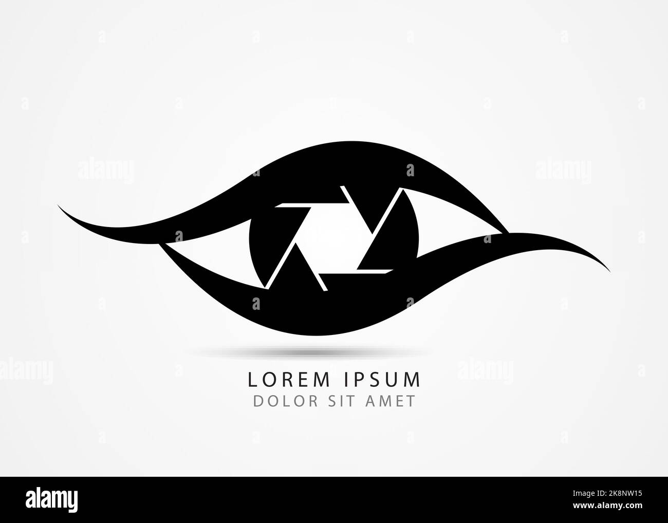 Photographer symbol. Modern creative eye. Vector illustration Stock Vector