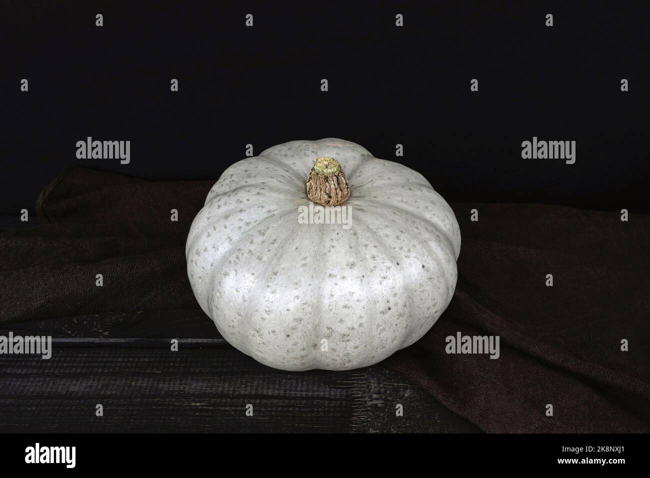 grey skin 'Crown prince' pumpkin with black background Stock Photo