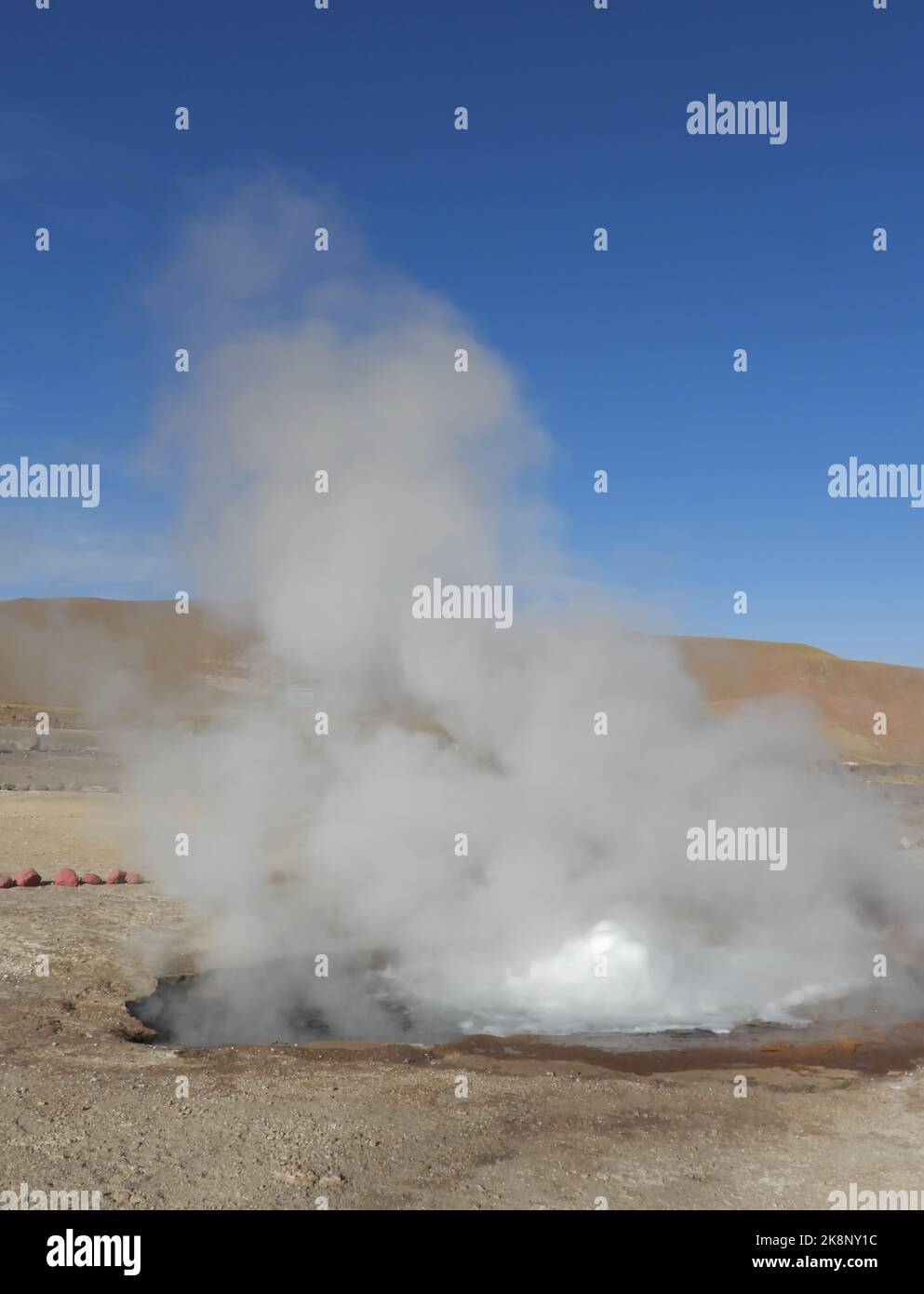 A geyser steam coming out of the ground in the early morning Stock Photo