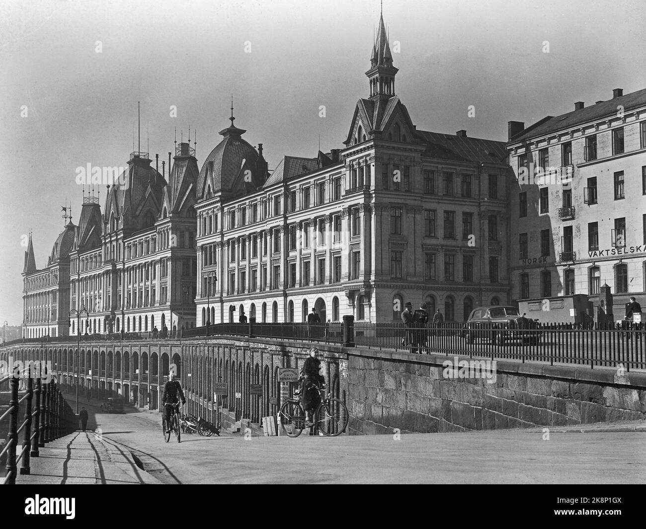 Line of Oslo Famous White