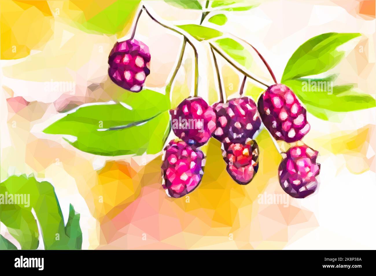 Watercolor blackberries on the Bush. Vector in Low Poly Art. Stock Vector