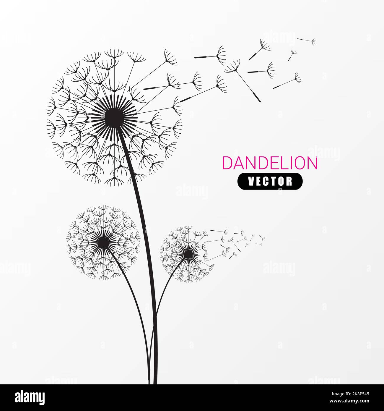 Dandelion silhouette. Flying dandelion buds. Modern design. Vector illustration Stock Vector