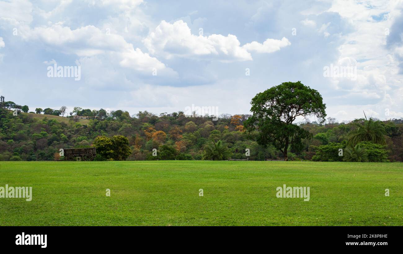 Scenic view of open field landscape with grass, trees, and blue cloudy sky in Minas Gerais, Brazil. Stock Photo