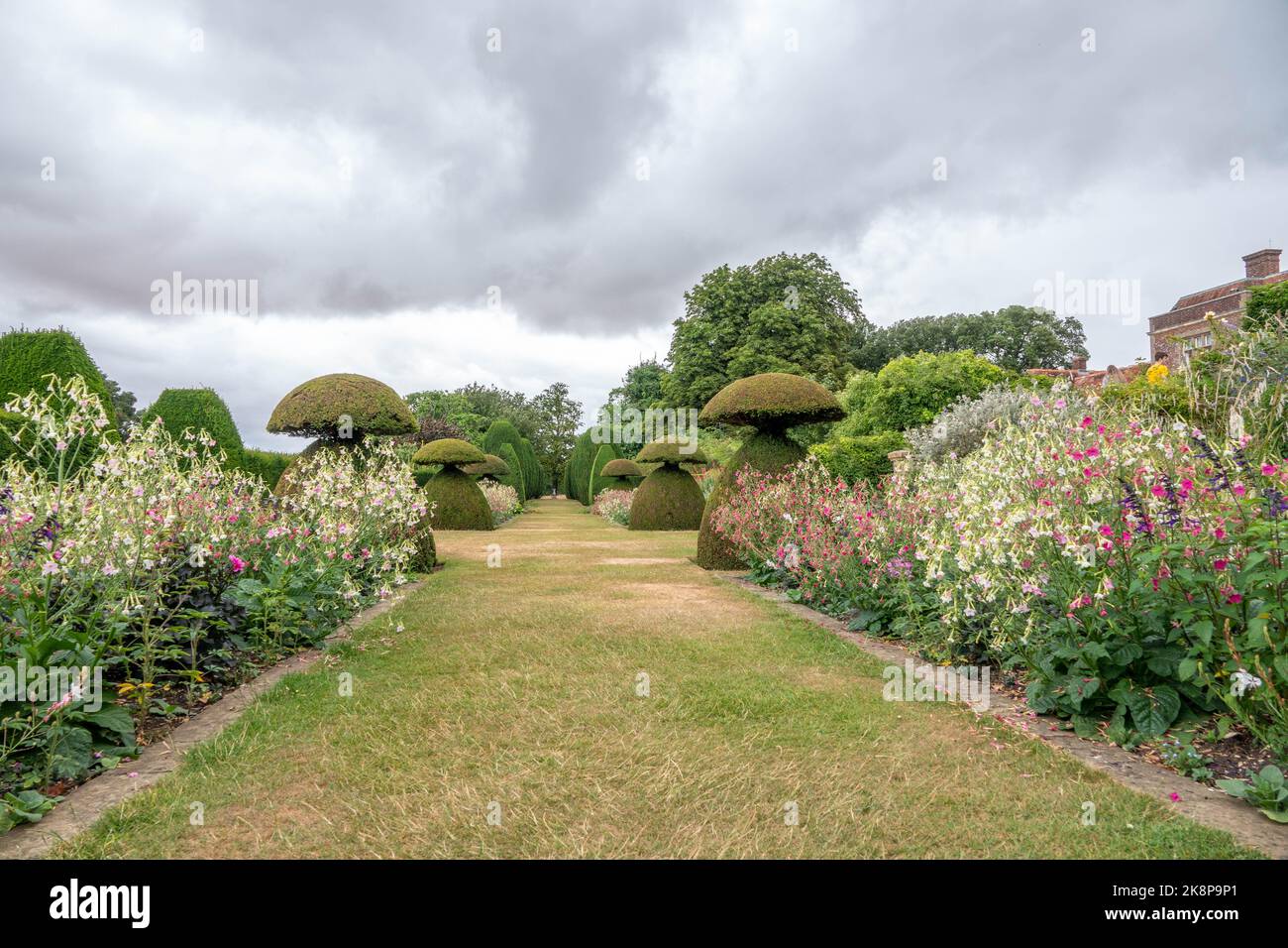 topiary trees and pretty borders with summer flowers in an english