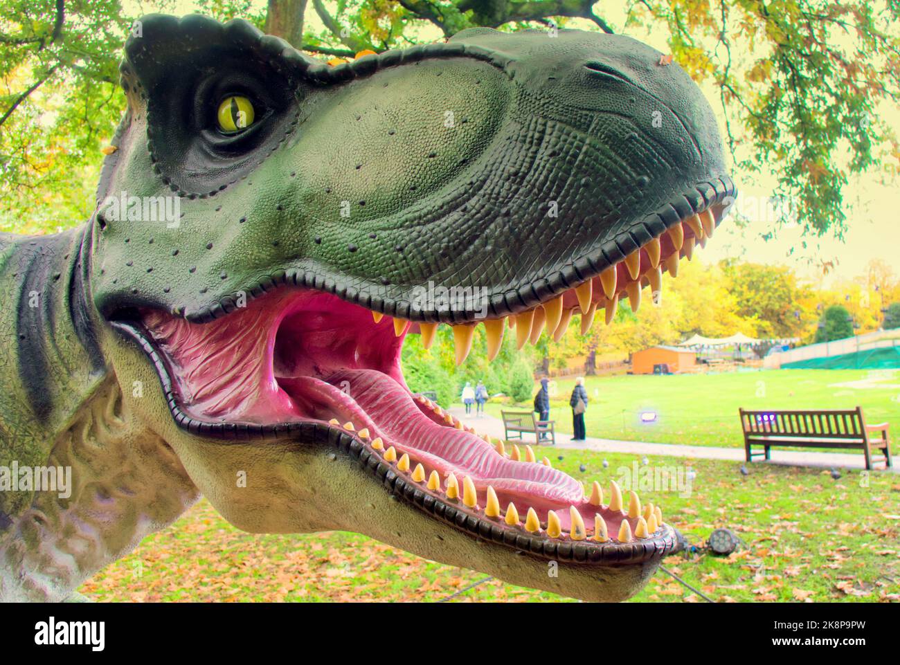 Glasgow, Scotland, UK 24th  October, 2022. The  Glasgow Botanic Gardens Botanics in the west end saw dinosaurs appear ahead of Glasglow which opens to the public on Wednesday. The park with its glasshouse is turned into Jurassic Park the land that time forgot  for the event. Credit Gerard Ferry/Alamy Live News Stock Photo