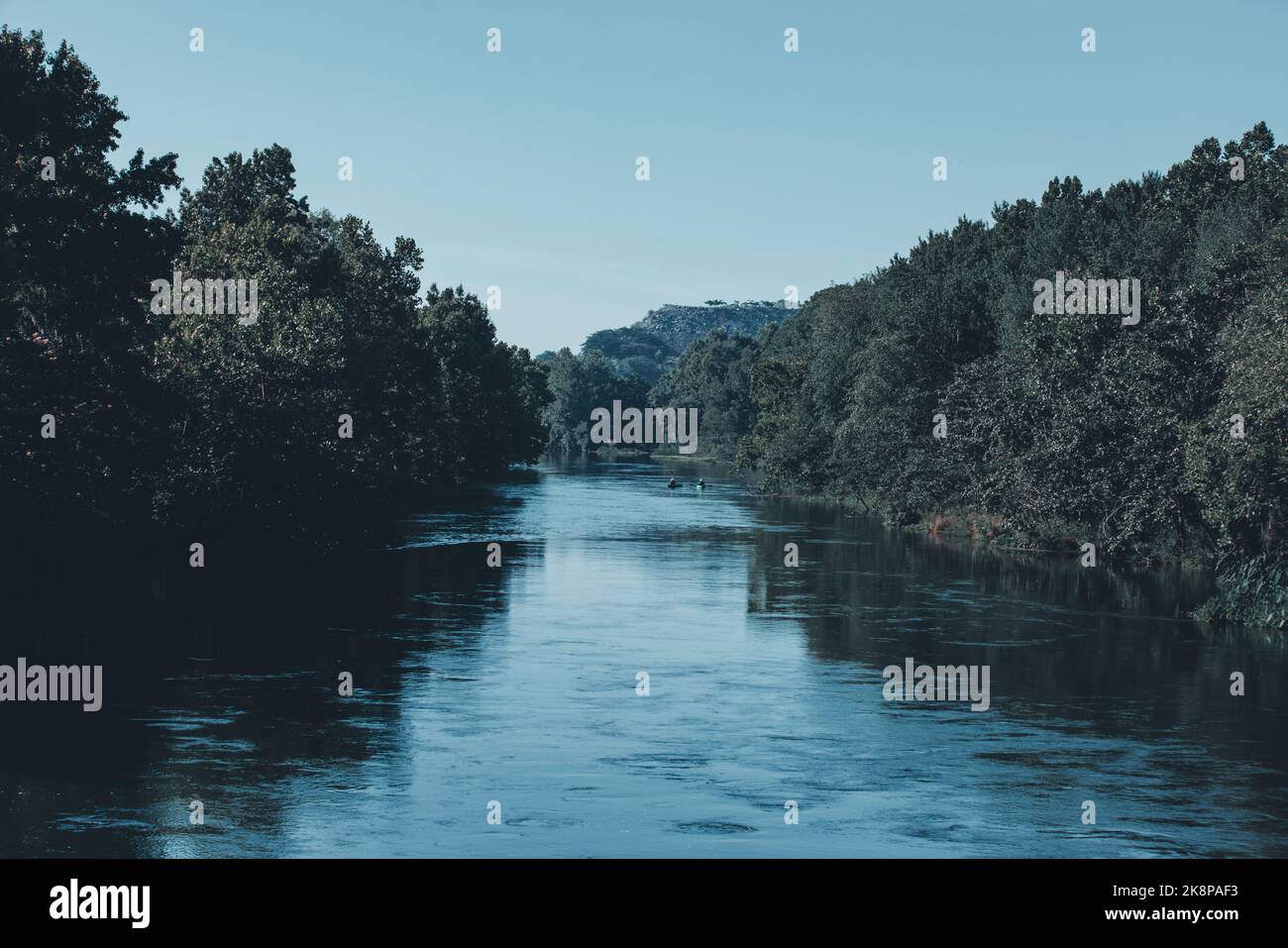 Reflective Rivers A scenic view of a reflective river flowing through the dense forests ...