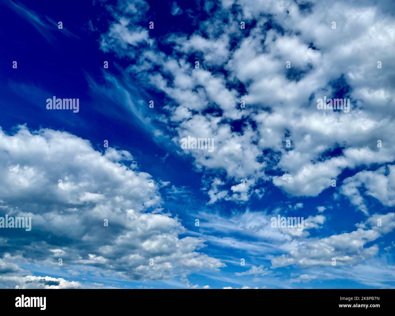 A gorgeous view of a bright blue sky filled with fluffy white clouds on ...