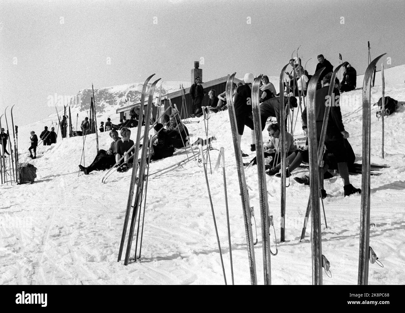 Hardangervidda Easter 1971 Easter holidays in sunshine: skiers who ...