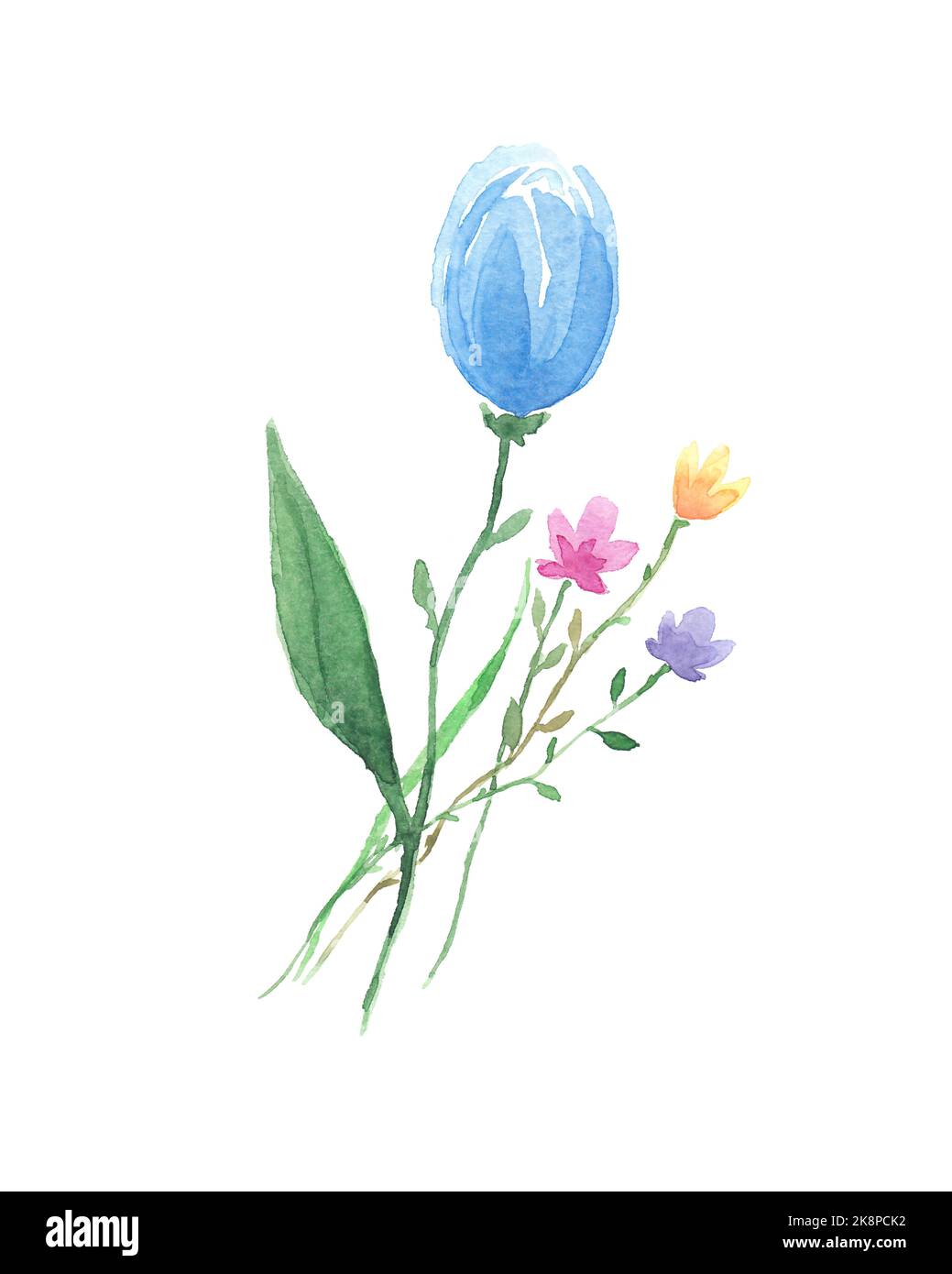 Watercolor flowers bouquet hand painted. Wildflowers bouquet on white ...