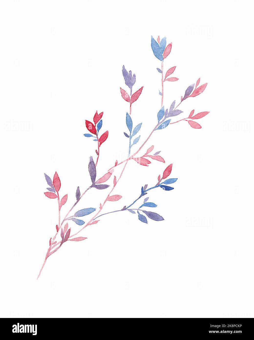 Watercolor spring branch abstract painting. Aquarelle colorful spring ...