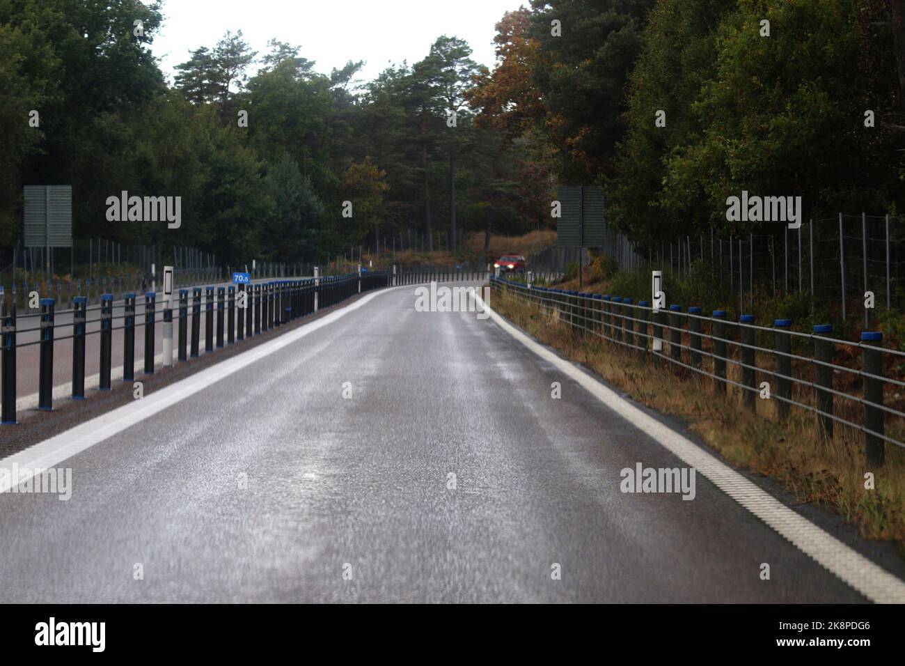 An aerial view of road surrounded by dense trees Stock Photo - Alamy